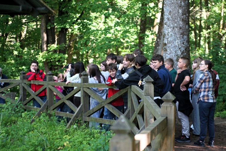 WYCIECZKA KLAS 6B I 6C W GRY WITOKRZYSKIE