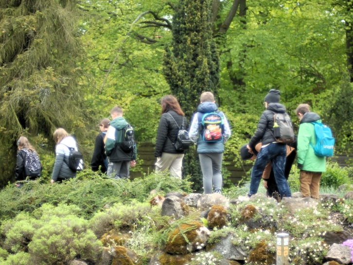 Z WIZYT W ARBORETUM W ROGOWIE