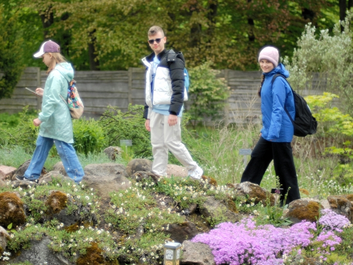 Z WIZYT W ARBORETUM W ROGOWIE