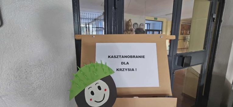 KASZTANOBRANIE DLA KRZYSIA