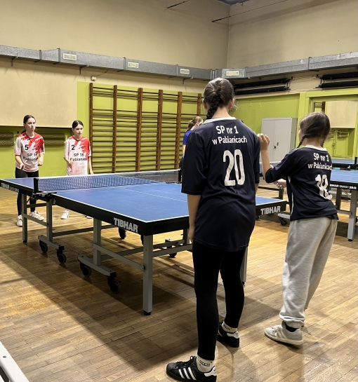 NASZE DZIEWCZTA MISTRZYNIAMI PABIANIC W TENISIE STOOWYMb