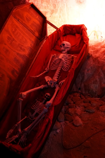 WYCIECZKA DO KOPALNI SOLI W KODAWIE I ZAMKU W CZYCY