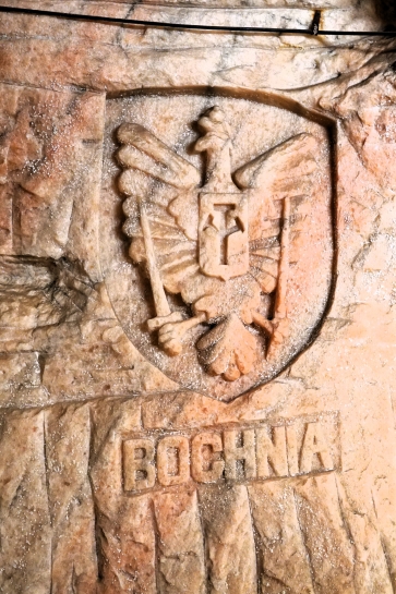 WYCIECZKA DO KOPALNI SOLI W KODAWIE I ZAMKU W CZYCY