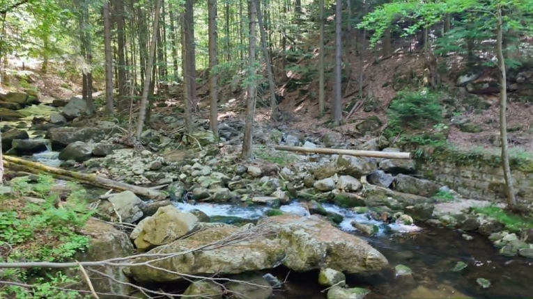 WYCIECZKA W KARKONOSZE&nbsp;